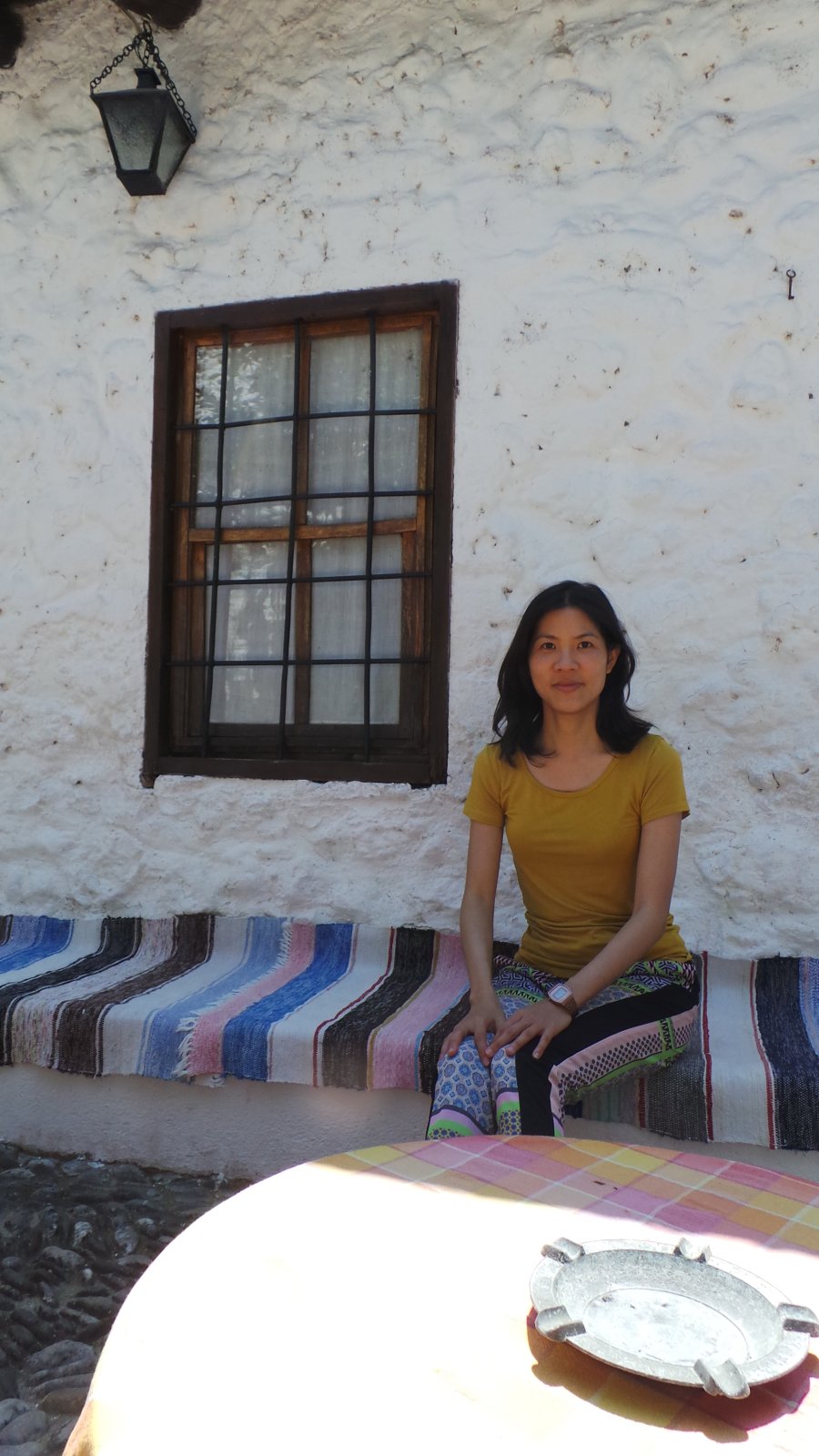 Ottoman House18